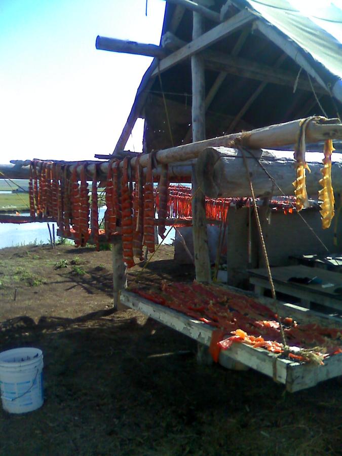 Fish drying on rack in Alaskan village